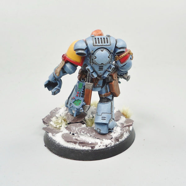 Space Wolves Lieutenant Painted -  Warhammer 40k Army Space Marines