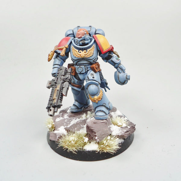 Space Wolves Lieutenant Painted -  Warhammer 40k Army Space Marines