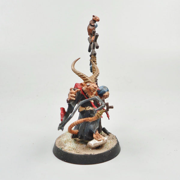 Skaven Grey Seer Painted - Warhammer army Fantasy Age of Sigmar Army