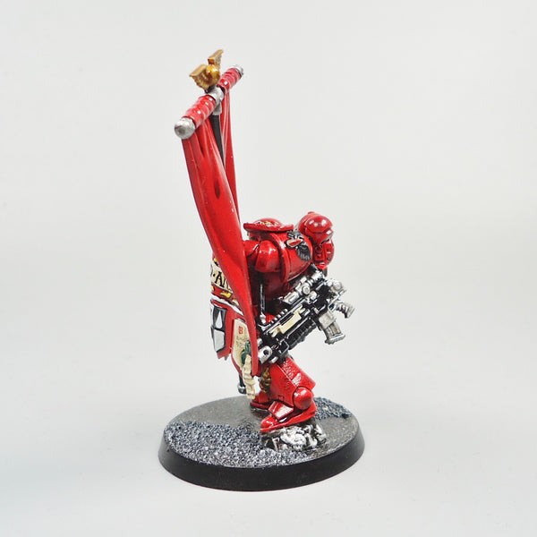 Warhammer 40k Army Space Marines  Blood Angels Ancient Painted