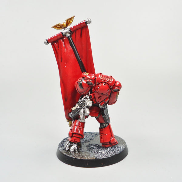 Warhammer 40k Army Space Marines  Blood Angels Ancient Painted