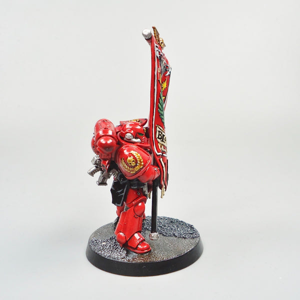 Warhammer 40k Army Space Marines  Blood Angels Ancient Painted