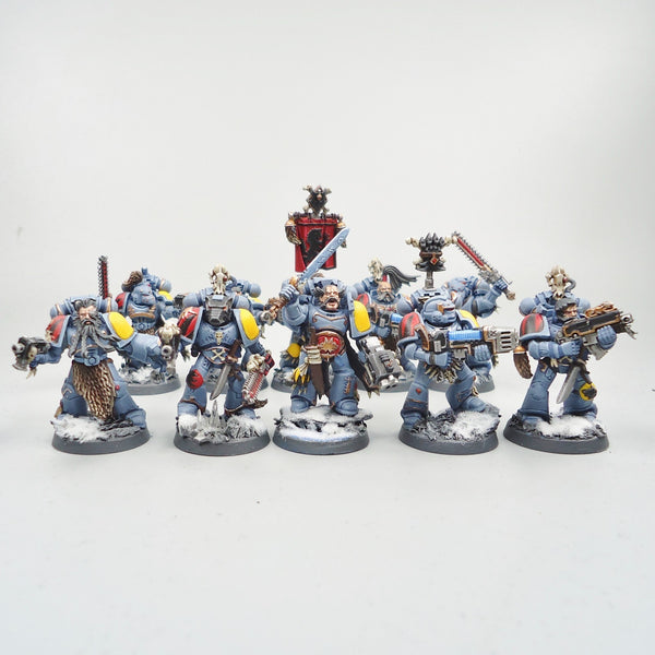 Space Wolves Grey Hunters x10 Painted - Warhammer 40k Army Space Marines