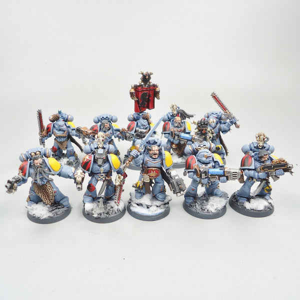 Space Wolves Grey Hunters x10 Painted - Warhammer 40k Army Space Marines