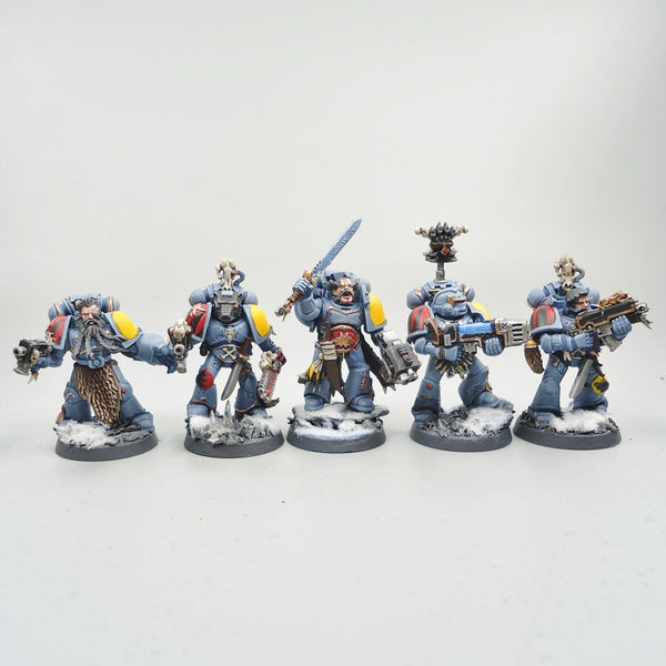 Space Wolves Grey Hunters x10 Painted - Warhammer 40k Army Space Marines