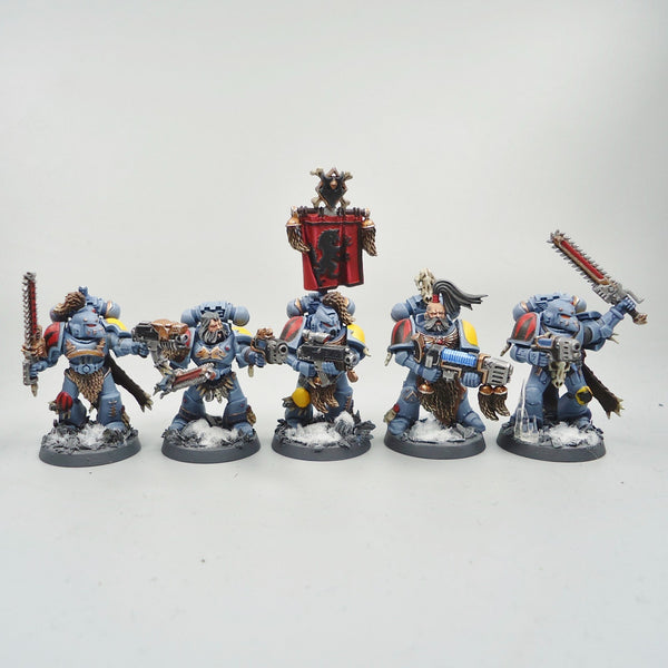 Space Wolves Grey Hunters x10 Painted - Warhammer 40k Army Space Marines