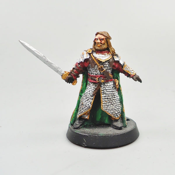 LOTR Warhammer Army Lord Of The Rings Hama Painted and Based