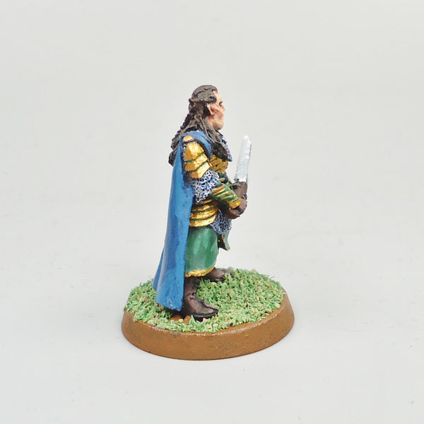 LOTR Warhammer Army Lord Of The Rings Elrond Painted and Based