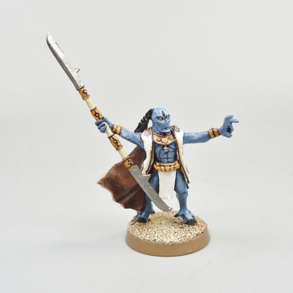 Warhammer 40k Army Tau Empire Ethereal Painted and Based