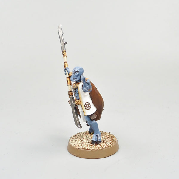 Warhammer 40k Army Tau Empire Ethereal Painted and Based