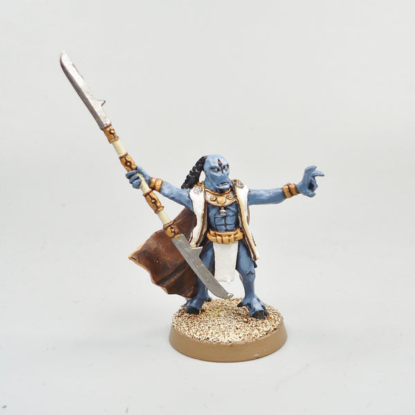Warhammer 40k Army Tau Empire Ethereal Painted and Based