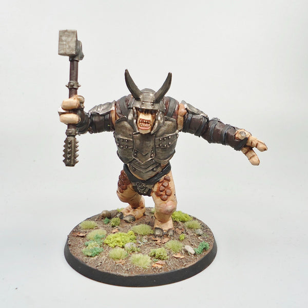 LOTR Warhammer Army Lord Of The Rings Mordor Troll Painted and Based