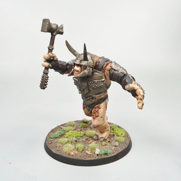 LOTR Warhammer Army Lord Of The Rings Mordor Troll Painted and Based