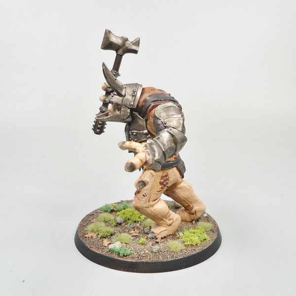 LOTR Warhammer Army Lord Of The Rings Mordor Troll Painted and Based