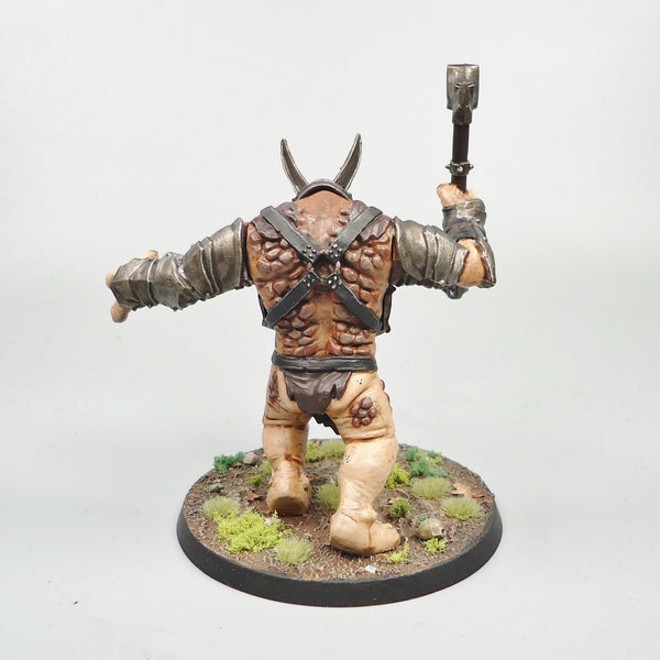 LOTR Warhammer Army Lord Of The Rings Mordor Troll Painted and Based