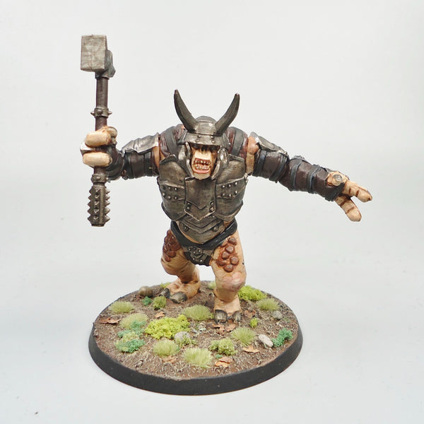 LOTR Warhammer Army Lord Of The Rings Mordor Troll Painted and Based