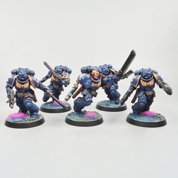 Ultramarines Assault Intercessors x5 Painted - Warhammer 40k Army Space Marines