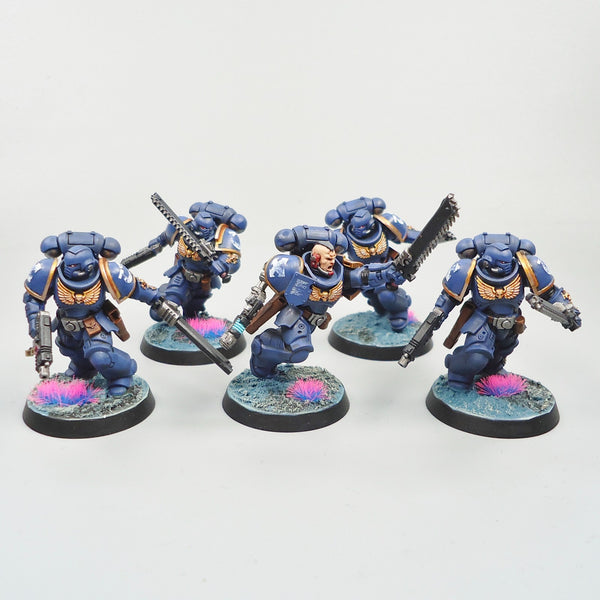 Ultramarines Assault Intercessors x5 Painted - Warhammer 40k Army Space Marines
