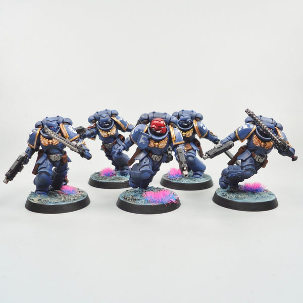 Ultramarines Assault Intercessors x5 Painted - Warhammer 40k Army Space Marines