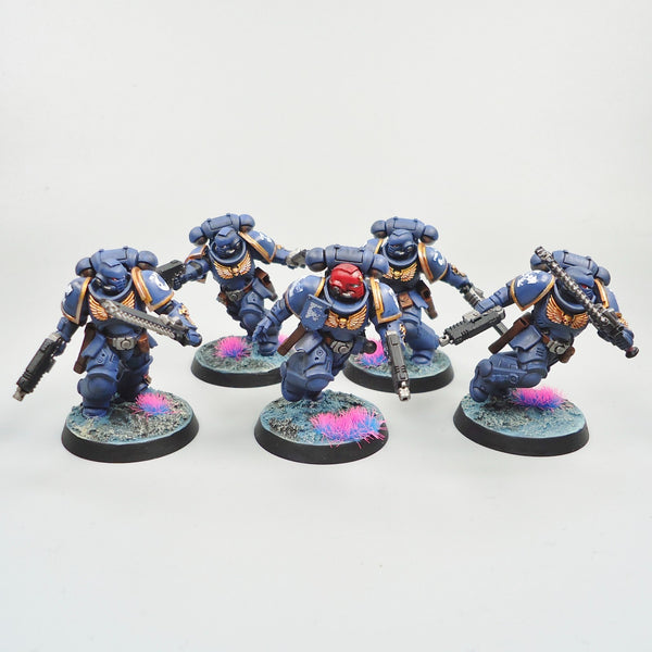 Ultramarines Assault Intercessors x5 Painted - Warhammer 40k Army Space Marines