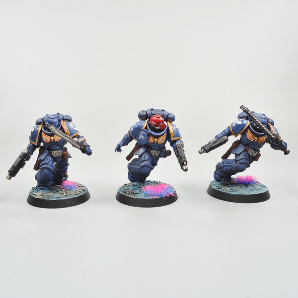 Ultramarines Assault Intercessors x5 Painted - Warhammer 40k Army Space Marines
