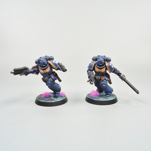 Ultramarines Assault Intercessors x5 Painted - Warhammer 40k Army Space Marines
