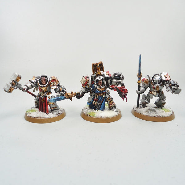 Warhammer 40k Army Space Marines Grey Knights Terminators and Librarian Painted