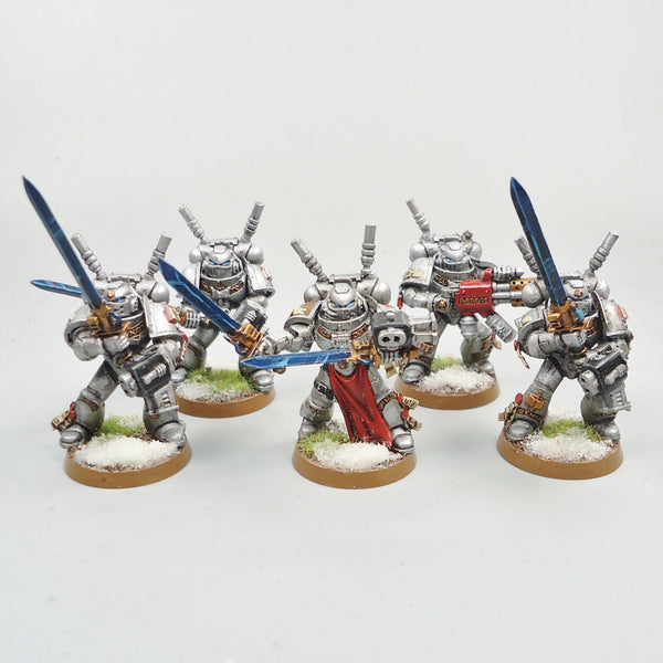 Warhammer 40k Army Space Marines Grey Knights Inceptors x5 Painted