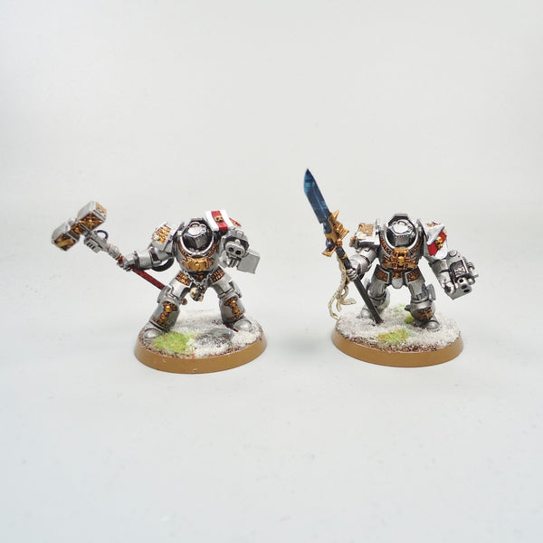 Warhammer 40k Army Space Marines Grey Knights Terminators and Librarian Painted