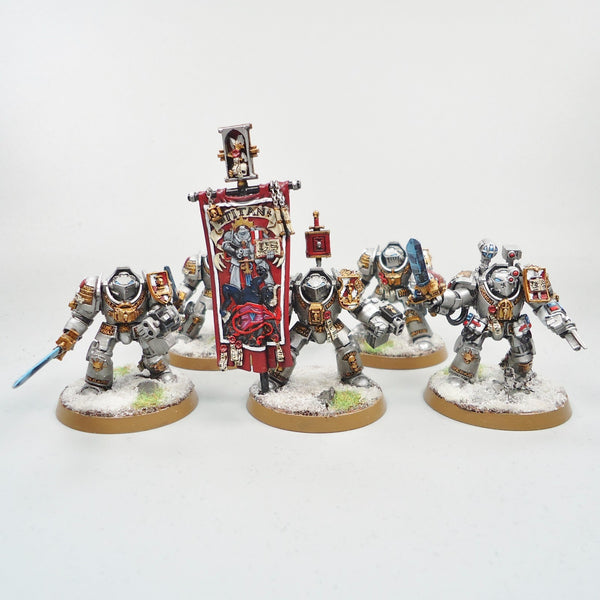 Warhammer 40k Army Space Marines Grey Knights Paladins x5 Painted