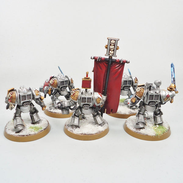 Warhammer 40k Army Space Marines Grey Knights Paladins x5 Painted