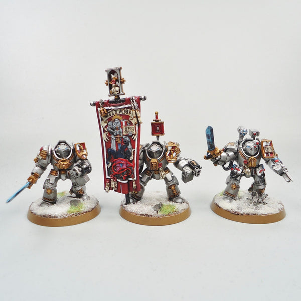Warhammer 40k Army Space Marines Grey Knights Paladins x5 Painted