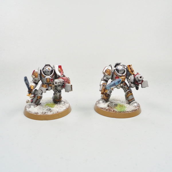 Warhammer 40k Army Space Marines Grey Knights Paladins x5 Painted