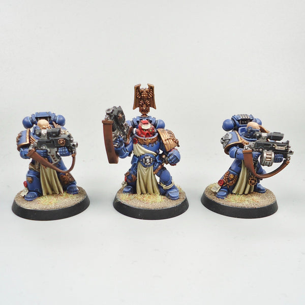 Ultramarines Sternguard Veterans x5 Painted - Warhammer 40k Army Space Marines