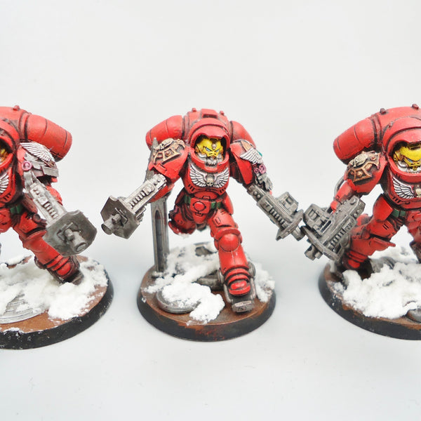 Warhammer 40k Army Space Marines  Blood Angels Primaris Inceptors x3 Painted