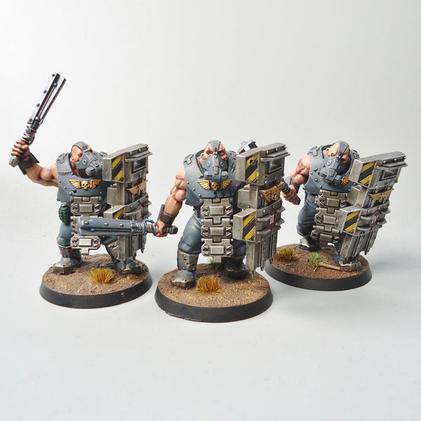 Warhammer 40k Army Astra Militarum Bullgryns x3 Painted
