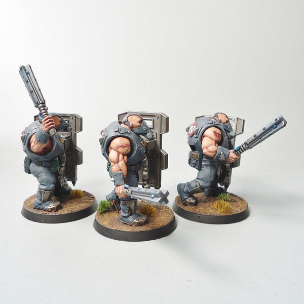 Warhammer 40k Army Astra Militarum Bullgryns x3 Painted