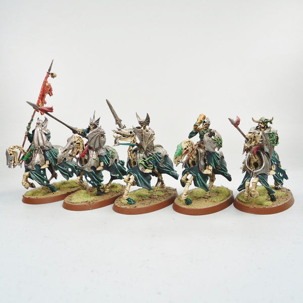 Warhammer AoS Old World Vampire Counts Black Knights x5 Painted