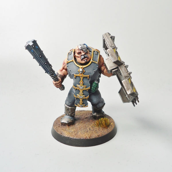 Warhammer 40k Army Astra Militarum Bullgryn Painted
