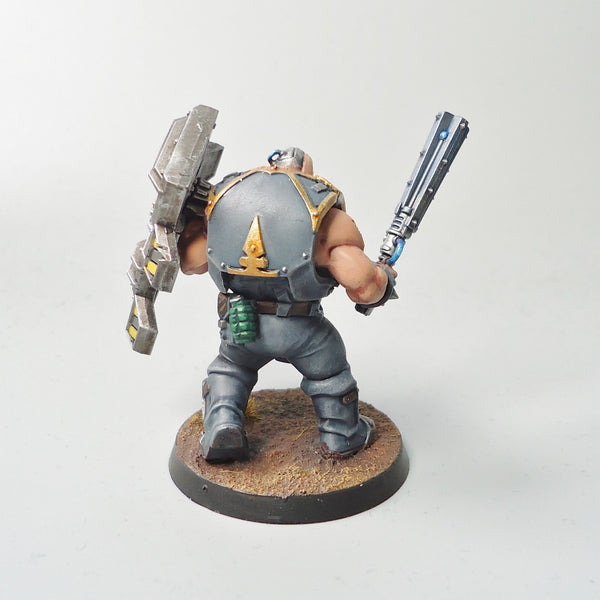 Warhammer 40k Army Astra Militarum Bullgryn Painted