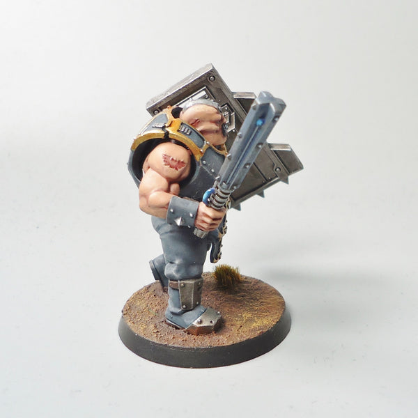 Warhammer 40k Army Astra Militarum Bullgryn Painted