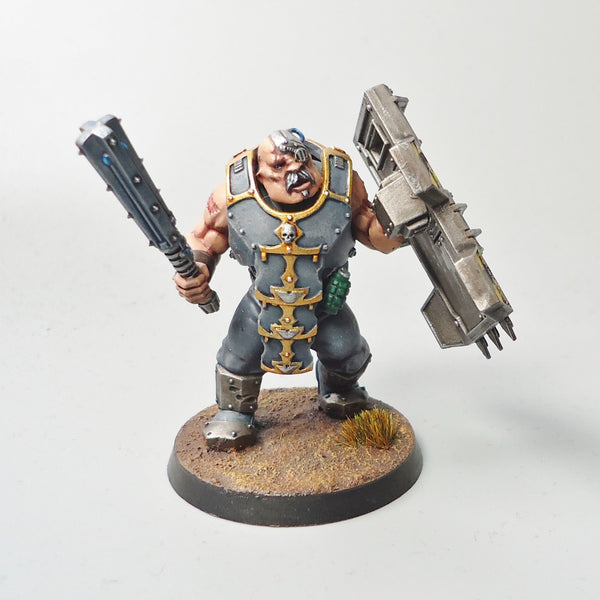 Warhammer 40k Army Astra Militarum Bullgryn Painted
