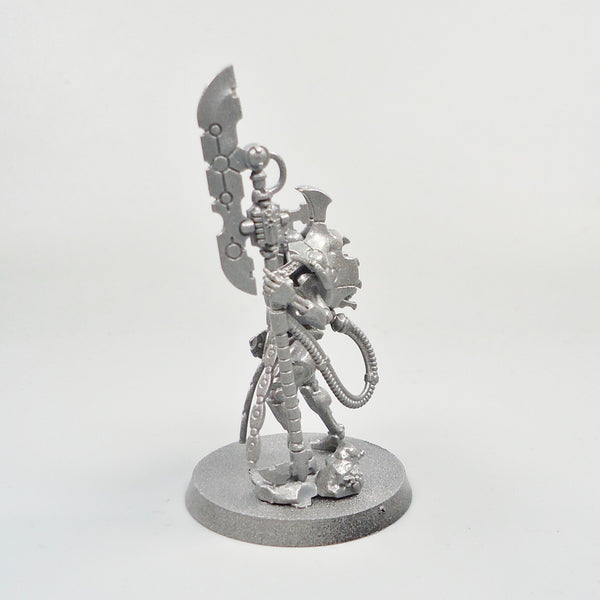 Warhammer 40k Army Necrons Necron Overlord Undercoated