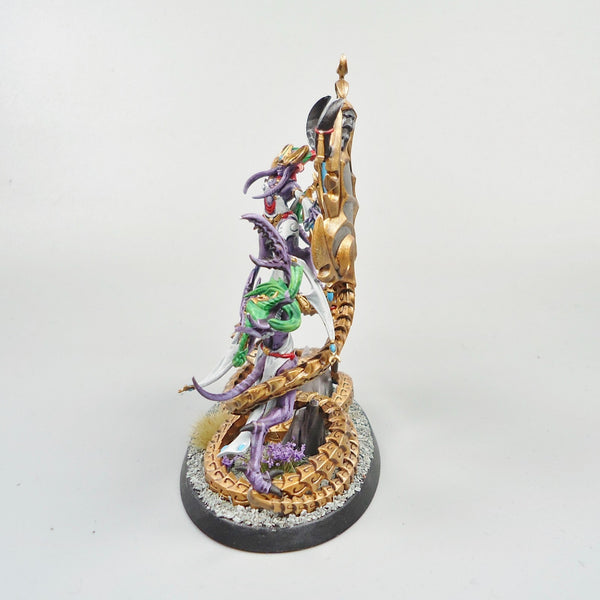 Contorted Epitome Painted Hedonites of Slaneesh - Warhammer Army Age of Sigmar