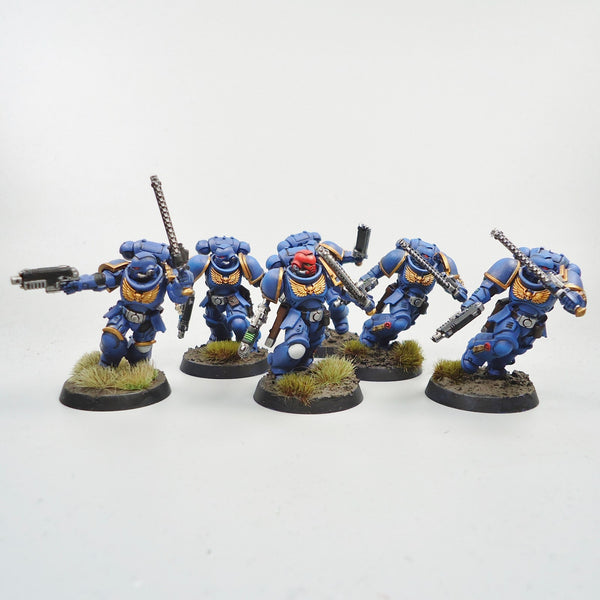 Ultramarines Assault Intercessors x5 Painted - Warhammer 40k Army Space Marines
