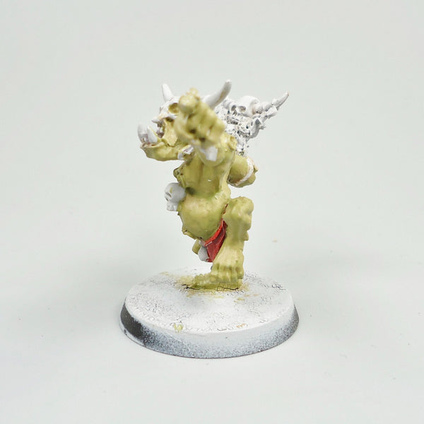 Orruk Shaman Part Painted - Warhammer Army Age of Sigmar