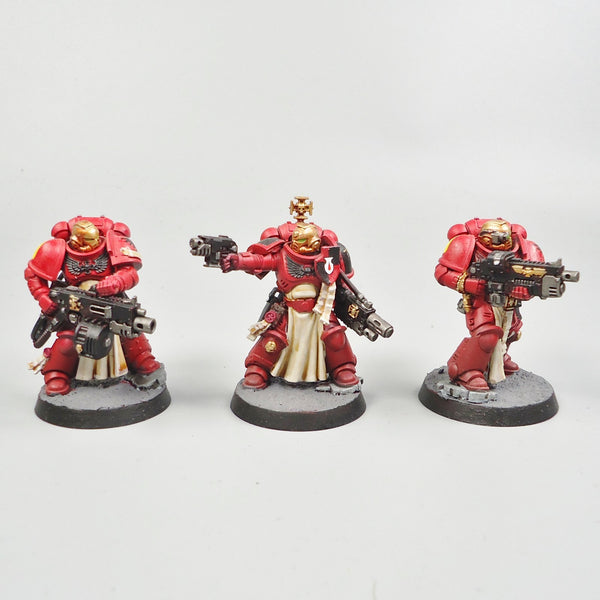 Blood Angels Sternguard Veterans x5 Painted - Warhammer 40k Army Space Marines