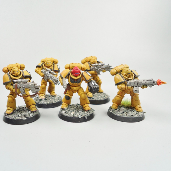 Imperial Fists Primaris Intercessors x5 Painted Warhammer 40k Space Marines