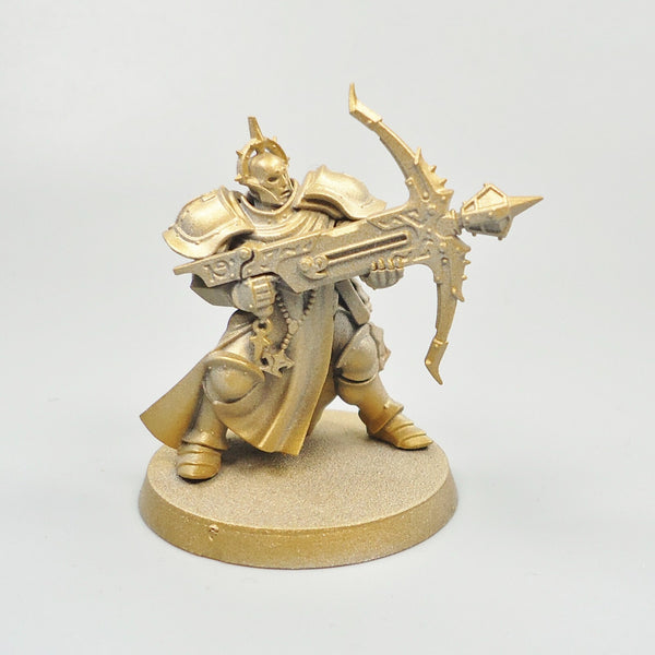 Stormcast Eternals Castigator undercoated - Warhammer Fantasy Age of Sigmar Army