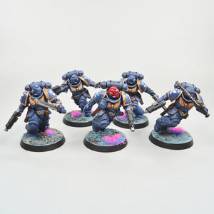 Ultramarines Assault Intercessors x5 Painted - Warhammer 40k - Space Marines